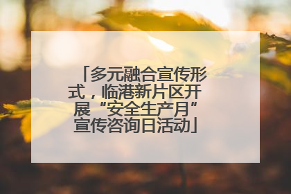 多元融合宣传形式，临港新片区开展“安全生产月”宣传咨询日活动