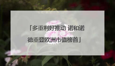 多重利好推动 诺和诺德重登欧洲市值榜首