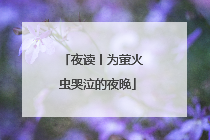夜读丨为萤火虫哭泣的夜晚
