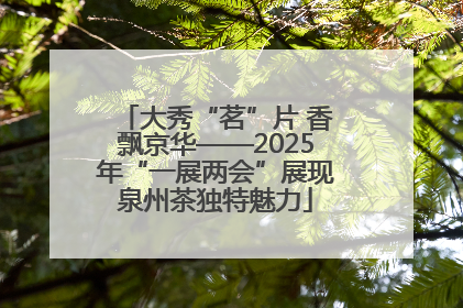 大秀“茗”片 香飘京华——2025年“一展两会”展现泉州茶独特魅力