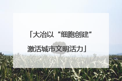 大冶以“细胞创建”激活城市文明活力