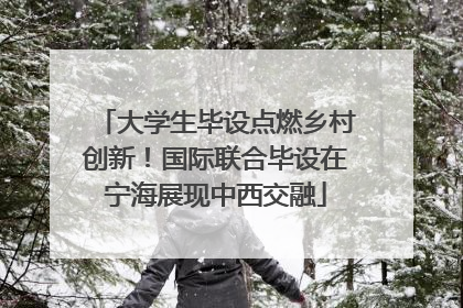 大学生毕设点燃乡村创新！国际联合毕设在宁海展现中西交融
