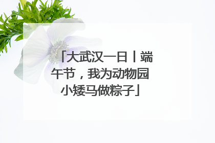 大武汉一日丨端午节，我为动物园小矮马做粽子