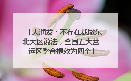 大润发：不存在裁撤东北大区说法，全国五大营运区整合提效为四个
