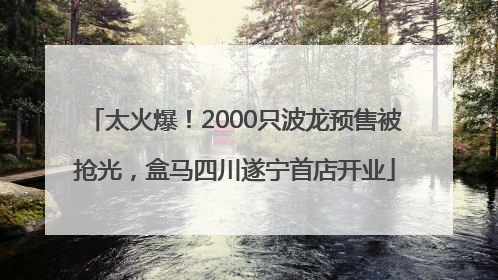 太火爆！2000只波龙预售被抢光，盒马四川遂宁首店开业