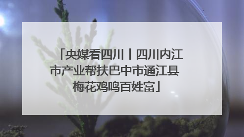 央媒看四川丨四川内江市产业帮扶巴中市通江县 梅花鸡鸣百姓富