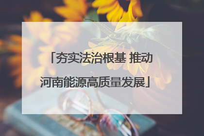夯实法治根基 推动河南能源高质量发展