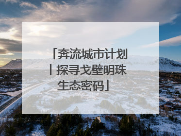 奔流城市计划丨探寻戈壁明珠生态密码