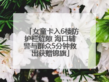 女童卡入6楼防护栏缝隙 海口辅警与群众5分钟救出获赠锦旗