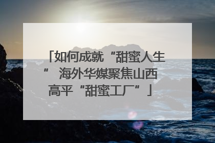如何成就“甜蜜人生” 海外华媒聚焦山西高平“甜蜜工厂”