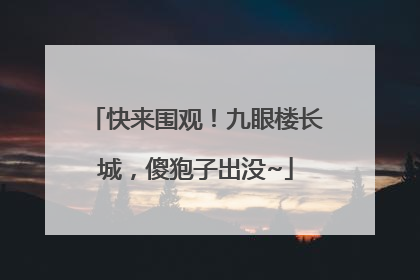 快来围观！九眼楼长城，傻狍子出没~