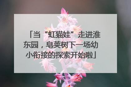 当“虹猫娃”走进淮东园，皂荚树下一场幼小衔接的探索开始啦