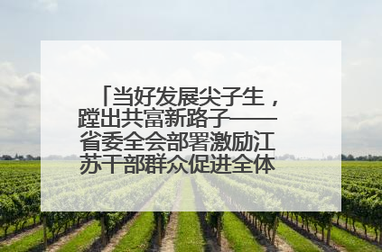 当好发展尖子生，蹚出共富新路子——省委全会部署激励江苏干部群众促进全体人民共同富裕