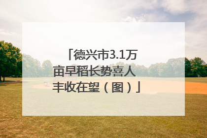 德兴市3.1万亩早稻长势喜人 丰收在望（图）