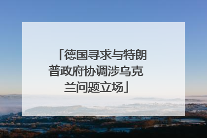 德国寻求与特朗普政府协调涉乌克兰问题立场