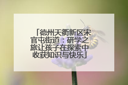德州天衢新区宋官屯街道：研学之旅让孩子在探索中收获知识与快乐