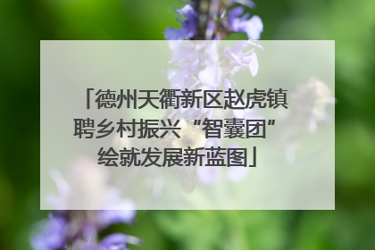 德州天衢新区赵虎镇聘乡村振兴“智囊团” 绘就发展新蓝图