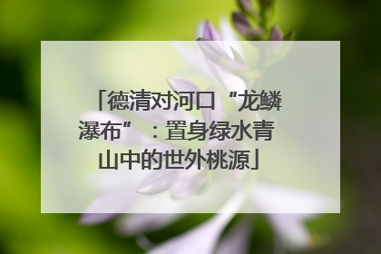 德清对河口“龙鳞瀑布”：置身绿水青山中的世外桃源