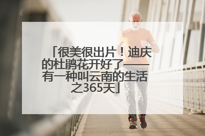 很美很出片！迪庆的杜鹃花开好了——有一种叫云南的生活之365天