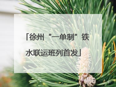 徐州“一单制”铁水联运班列首发