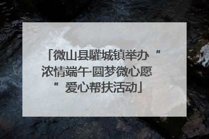 微山县驩城镇举办“浓情端午·圆梦微心愿”爱心帮扶活动