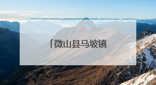 微山县马坡镇开展托育服务集中宣传活动
