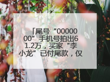 尾号“0000000”手机号拍出61.2万，买家“李小龙”已付尾款，仅享有使用权