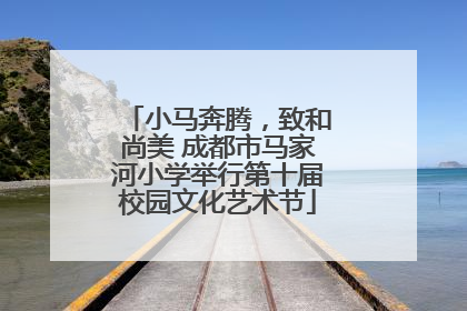 小马奔腾，致和尚美 成都市马家河小学举行第十届校园文化艺术节