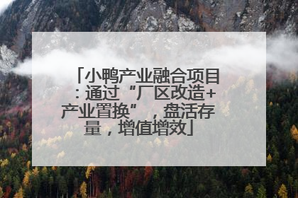 小鸭产业融合项目：通过“厂区改造+产业置换”，盘活存量，增值增效