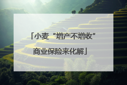 小麦“增产不增收” 商业保险来化解