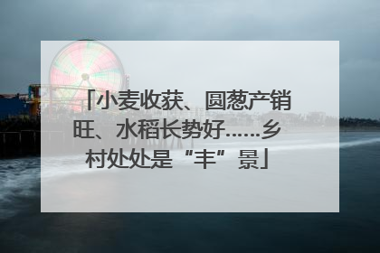 小麦收获、圆葱产销旺、水稻长势好……乡村处处是“丰”景