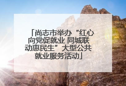 尚志市举办“红心向党促就业 同城联动惠民生”大型公共就业服务活动