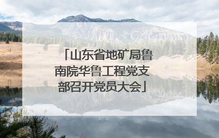 山东省地矿局鲁南院华鲁工程党支部召开党员大会