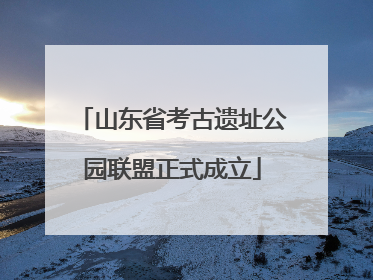 山东省考古遗址公园联盟正式成立