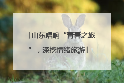 山东唱响“青春之旅”，深挖情绪旅游