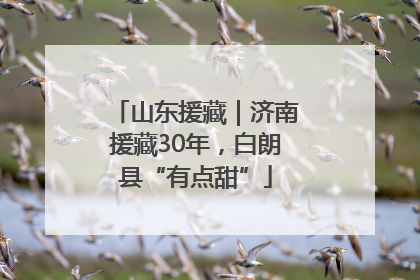 山东援藏｜济南援藏30年，白朗县“有点甜”
