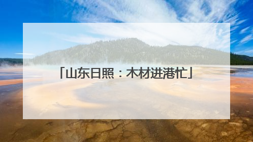 山东日照：木材进港忙