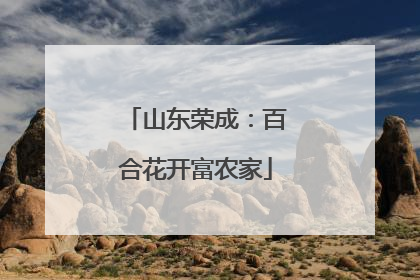山东荣成：百合花开富农家