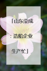 山东荣成：造船企业生产忙