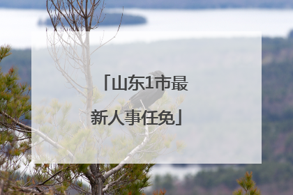 山东1市最新人事任免