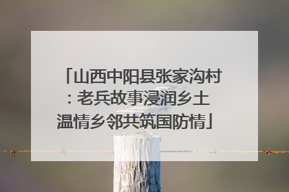山西中阳县张家沟村：老兵故事浸润乡土 温情乡邻共筑国防情