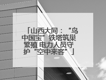 山西大同：“鸟中国宝”铁塔筑巢繁殖 电力人员守护“空中来客”