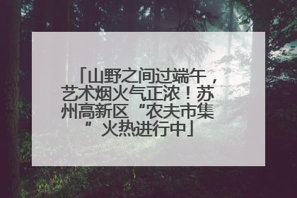 山野之间过端午，艺术烟火气正浓！苏州高新区“农夫市集”火热进行中