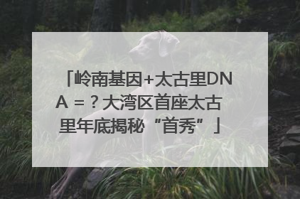 岭南基因+太古里DNA =？大湾区首座太古里年底揭秘“首秀”