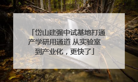岱山建强中试基地打通产学研用通道 从实验室到产业化，更快了