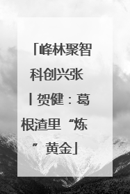 峰林聚智 科创兴张丨贺健：葛根渣里“炼”黄金