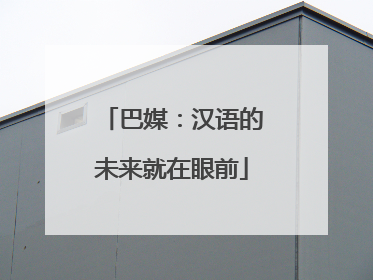巴媒：汉语的未来就在眼前