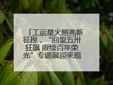 工运星火照亮新征程，“回望五卅狂飙 赓续百年荣光”专题展迎来观展热潮