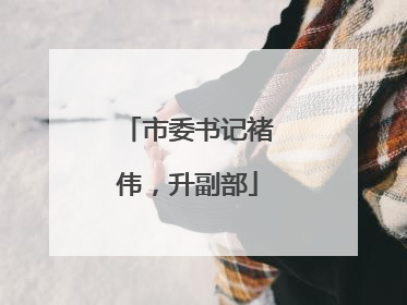 市委书记褚伟，升副部