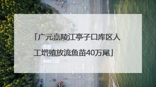 广元嘉陵江亭子口库区人工增殖放流鱼苗40万尾